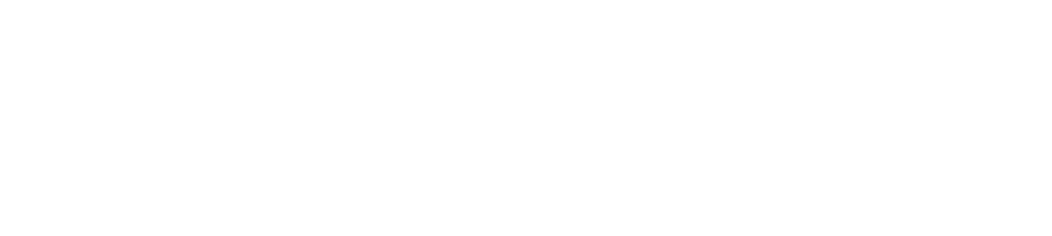 The Denver Difference campaign mark