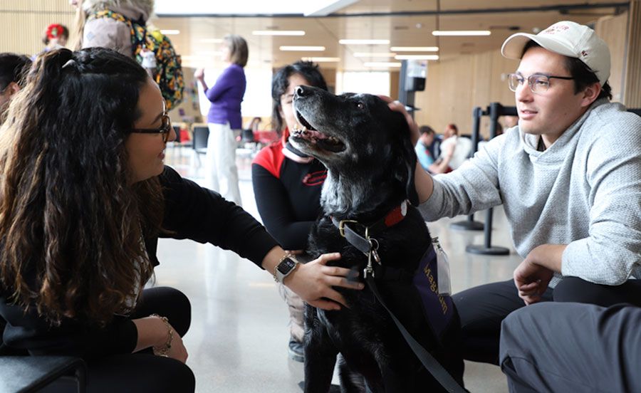 DU students petting dog
