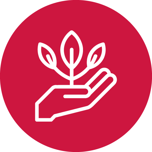 Enhance Staff Development, Learning, & Well-Being
