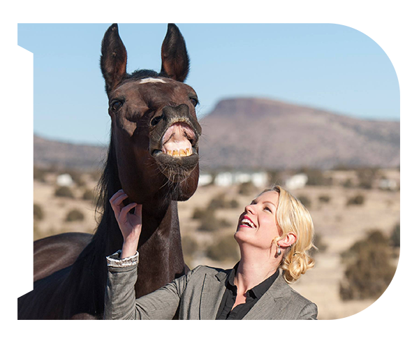 A woman looks up at a black horse in front of a D shape photo. 