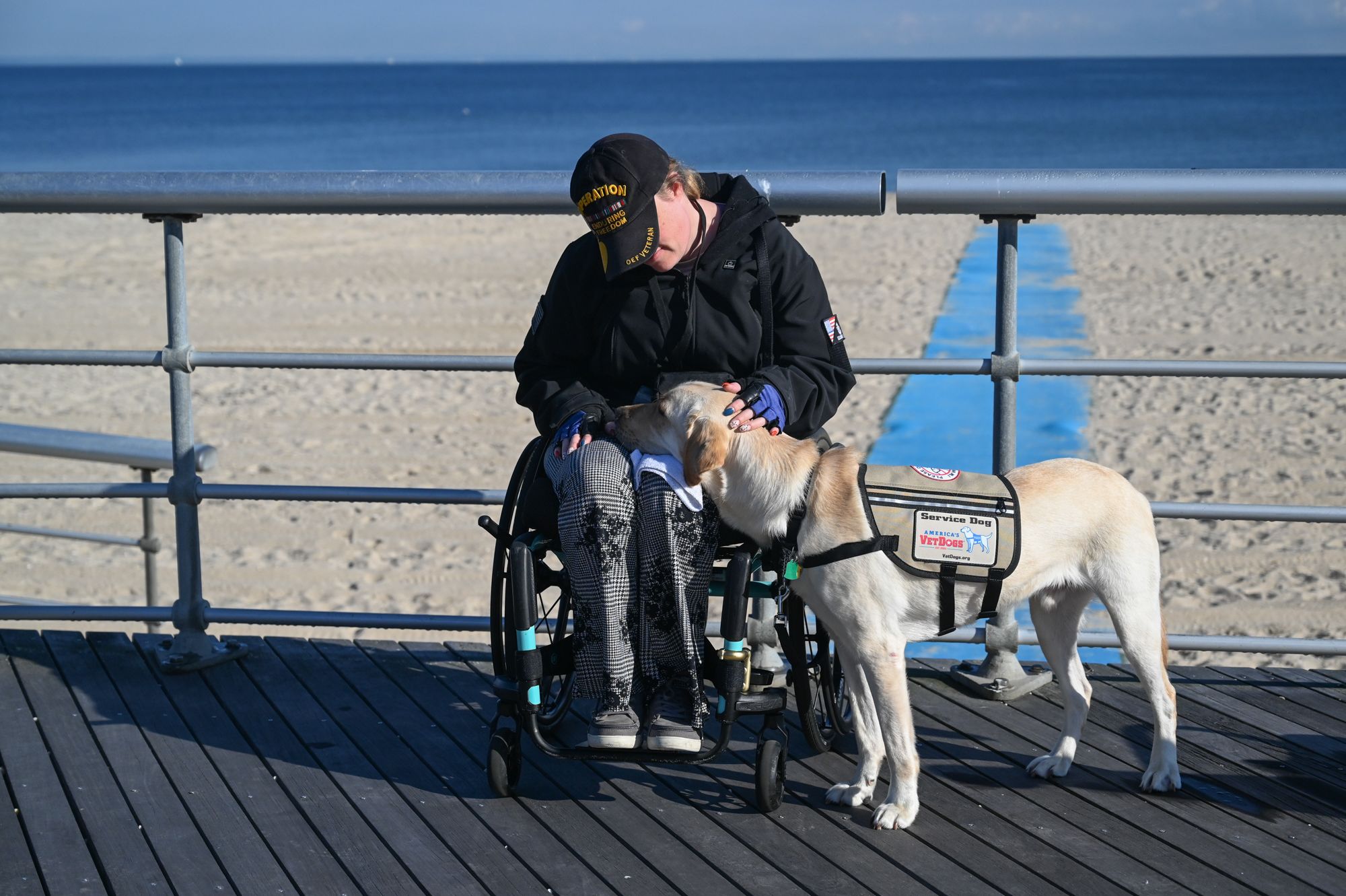 A person in a wheelchair with a service dog.