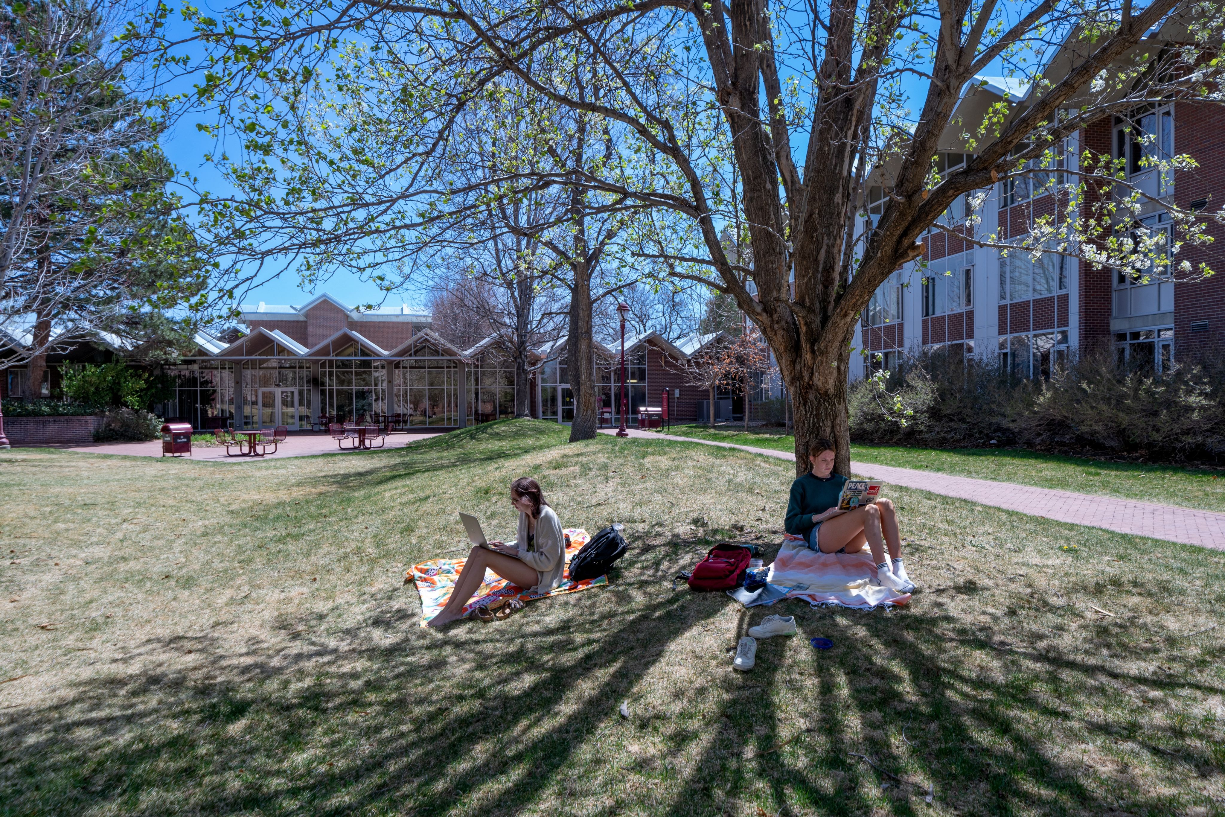Students sitting under a tree studying, with JMAC visible in the background