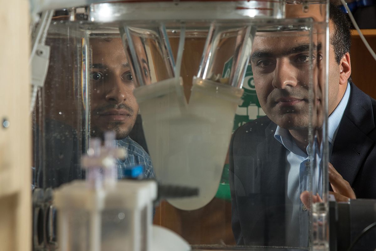 Professor Ali Azadani and another researcher viewing a lab instrument