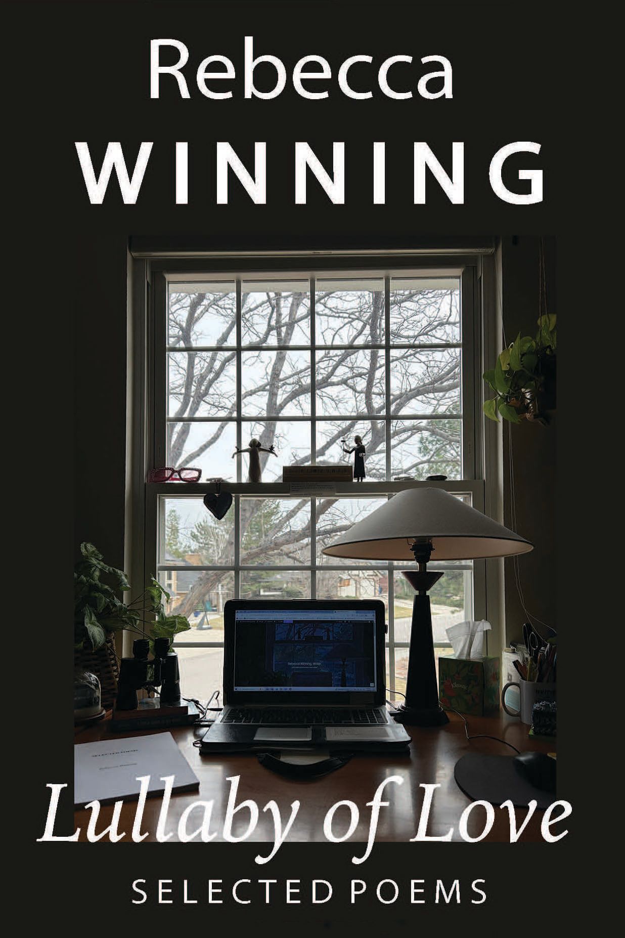 Lullaby of Love book cover image