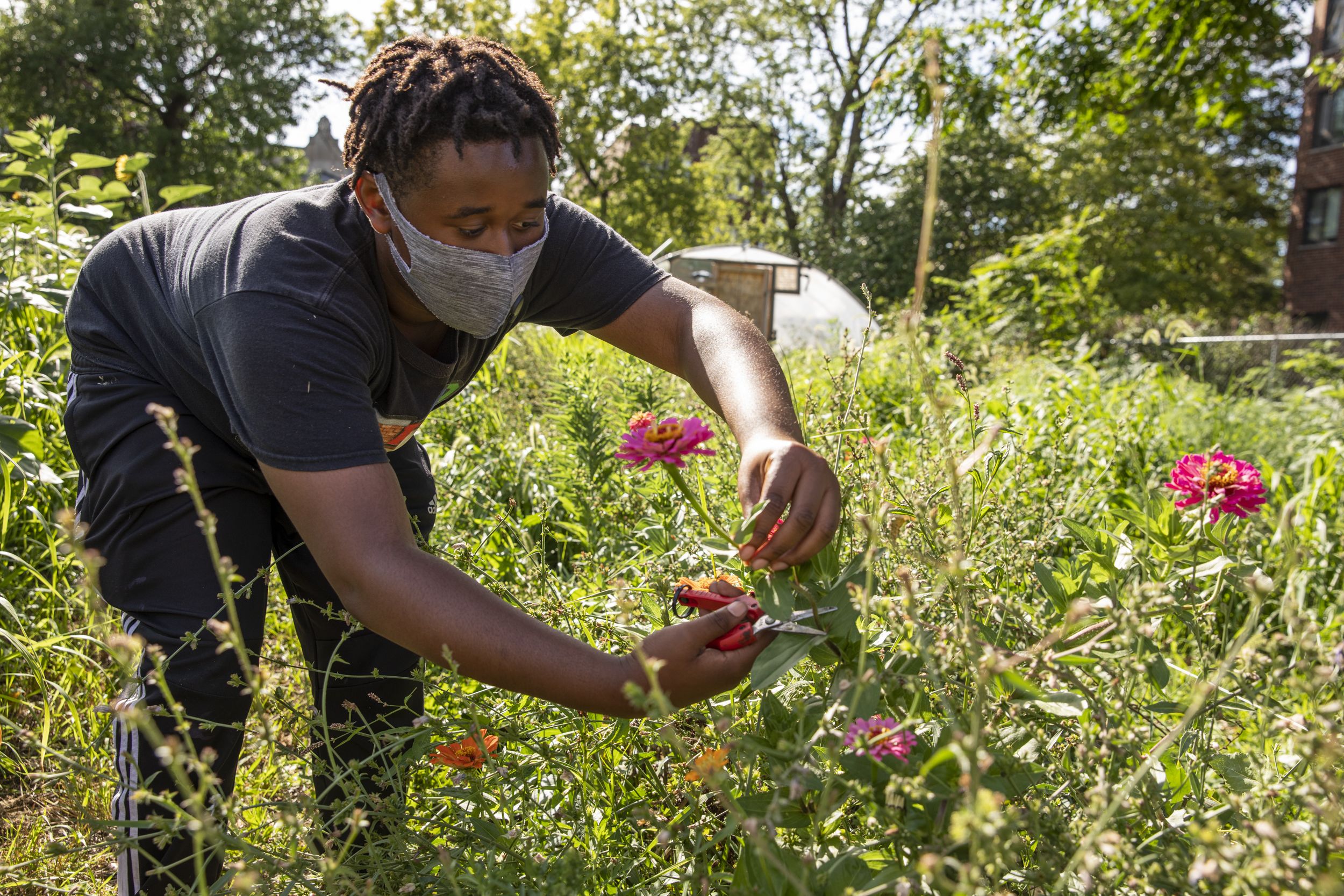 A man picking flowers
