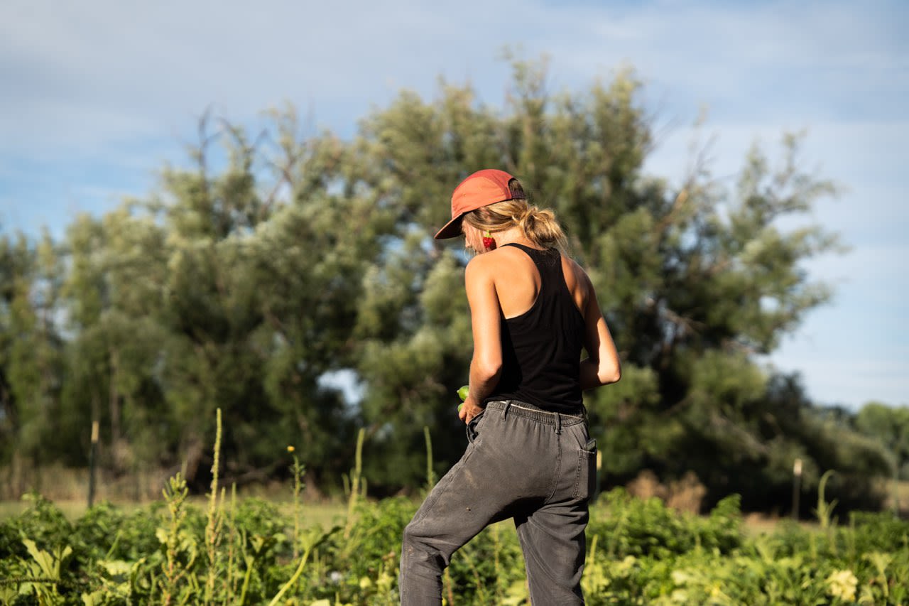 Katie working on her farm