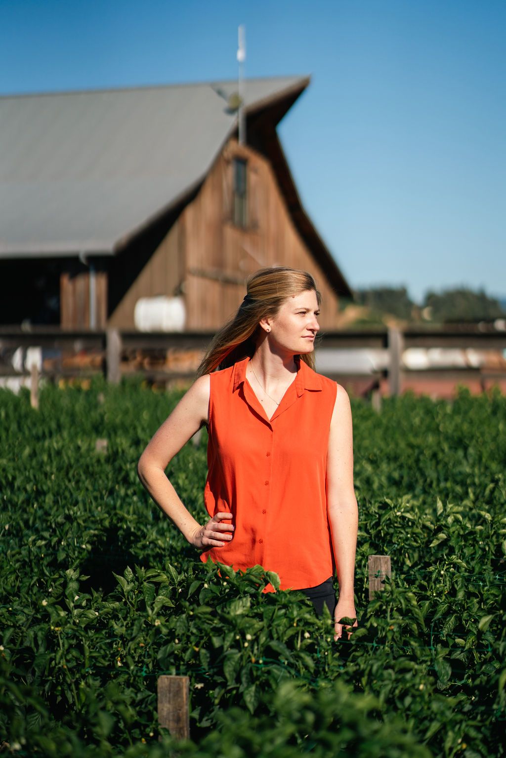 Krissy Scommegna standing in a field