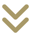 Two gold arrows pointing down. 