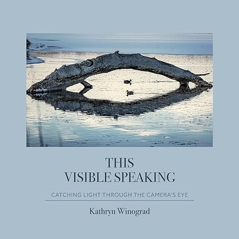 Cover image of "This Visible Speaking" by Kathryn Winograd